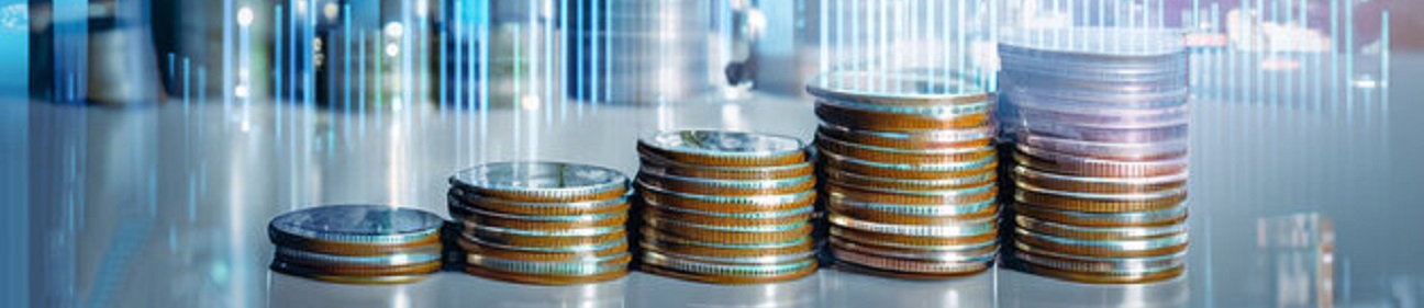 banner-04-stc.jpg